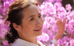 在线天天看片视频免费观看